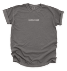 Introvert Unisex T-shirt